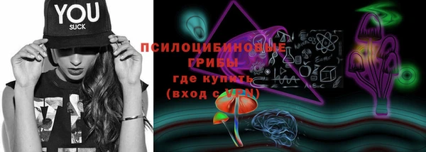 гашик Иннополис