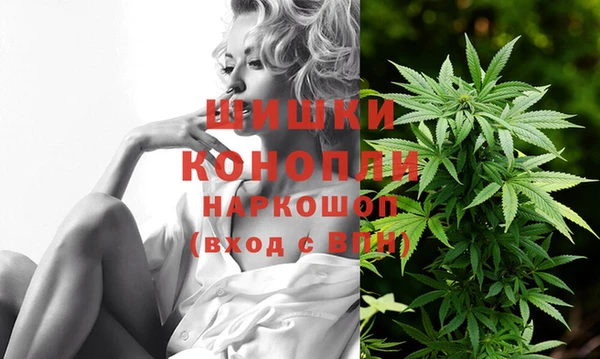 хмурый Инсар