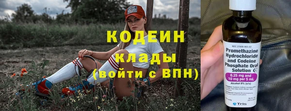 гашик Иннополис