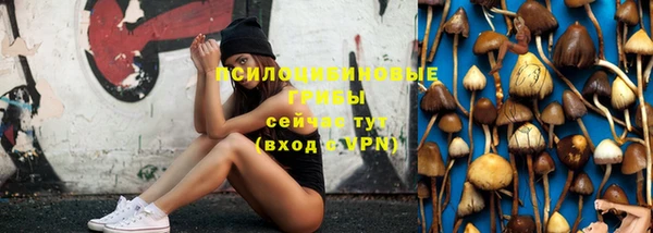 хмурый Инсар