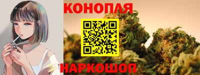 прущие грибы Аргун
