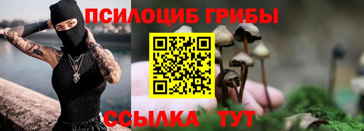 Галлюциногенные грибы Psilocybine cubensis Балаково